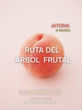 Travel Catarsis: Ruta del árbol frutal 🍑🌸 (Aitona) 8 MARZO