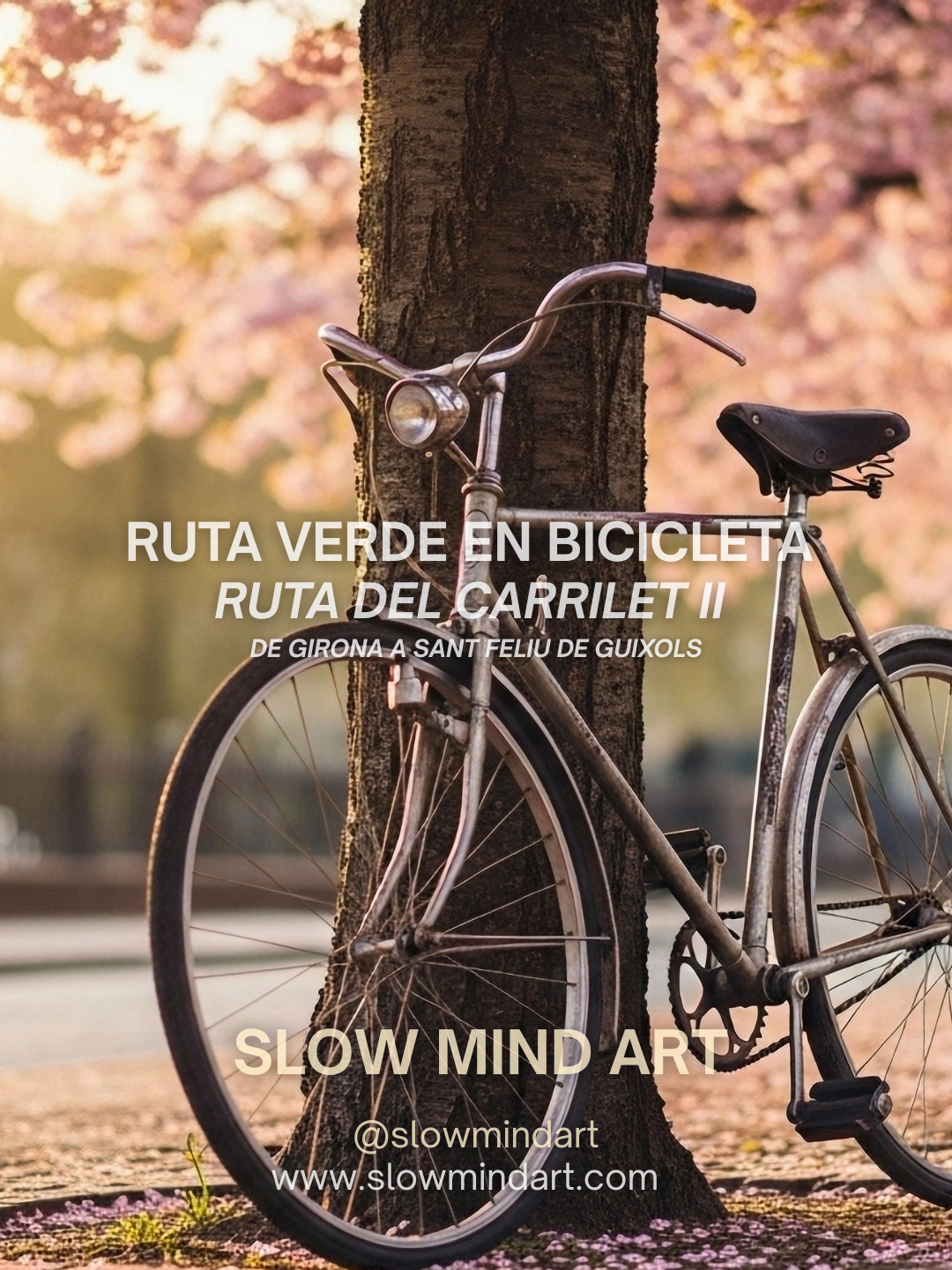 Ruta del Carrilet II